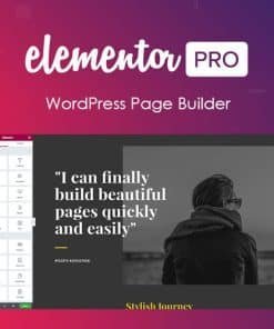 Elementor PRO WordPress Page Builder v3.32.3